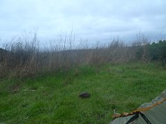 WildcatCamp 013